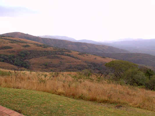 302hlu.JPG (248558 bytes)