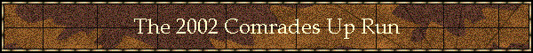 The 2002 Comrades Up Run