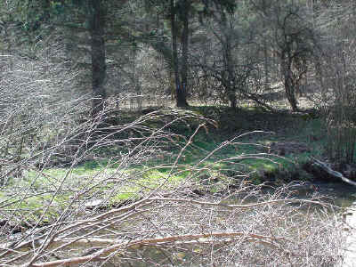 DSC00162.JPG (105926 bytes)