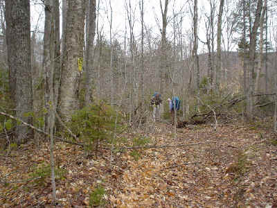 DSC00182.JPG (105720 bytes)