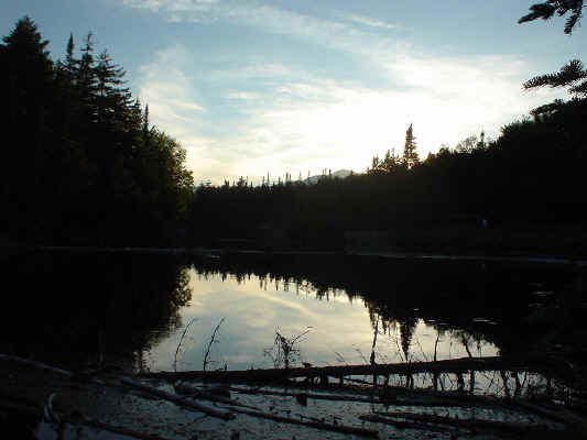 DSC00273.JPG (79738 bytes)